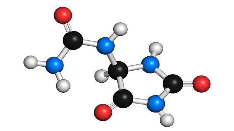 allantoin és panthenol a Hondrolife-ben